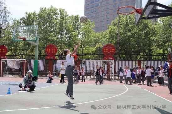 如何评估篮球新人的进步和发展_0